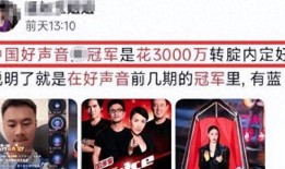 好声音爆料视频大全最新,揭秘选手幕后故事与精彩瞬间